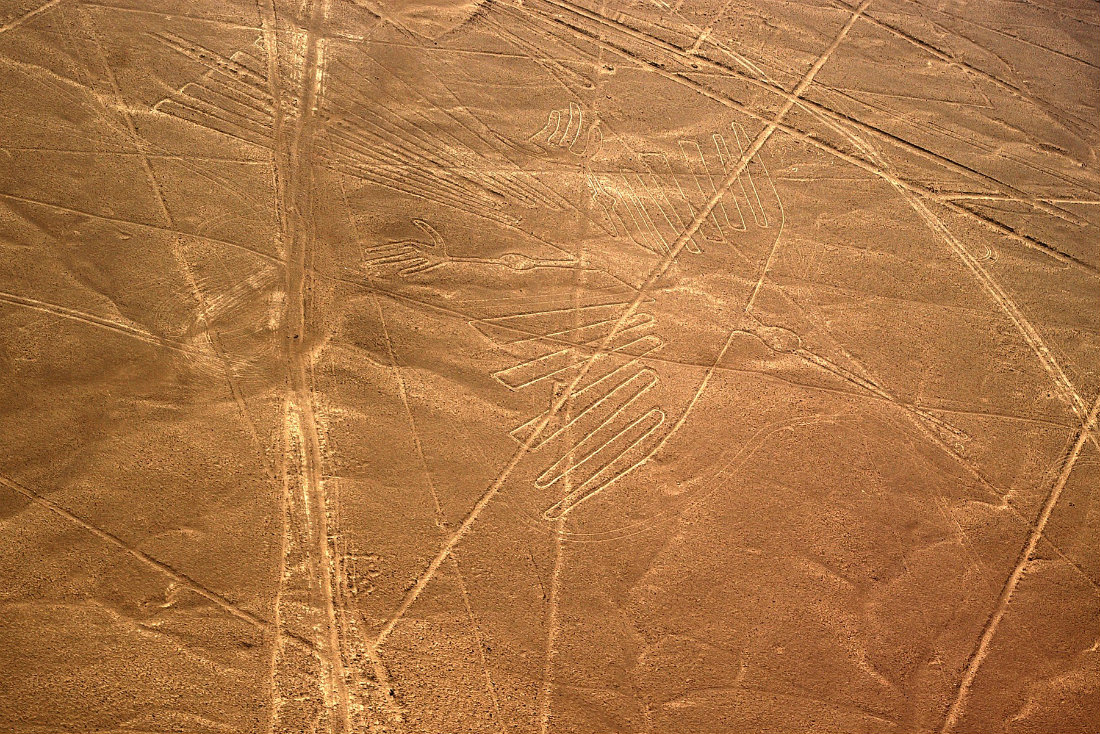 Naskos dykumoje esantis kondoro geoglifas, nufotografuotas skrendant lėktuvu